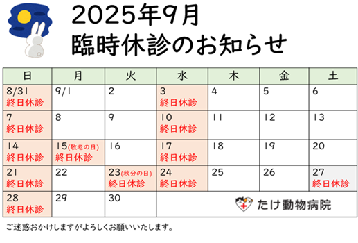 202509