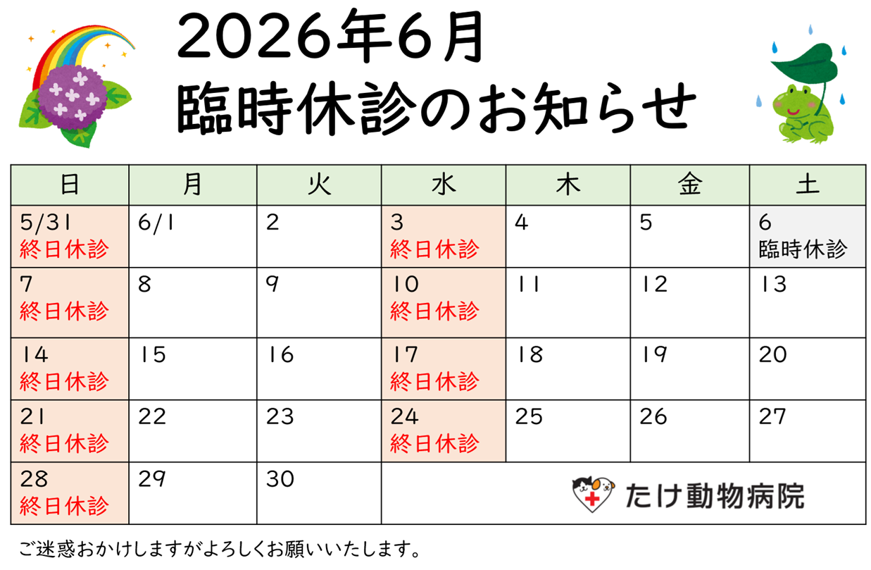 202606