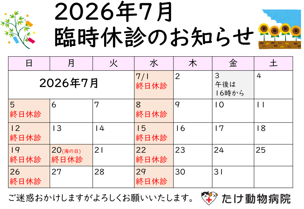 202607