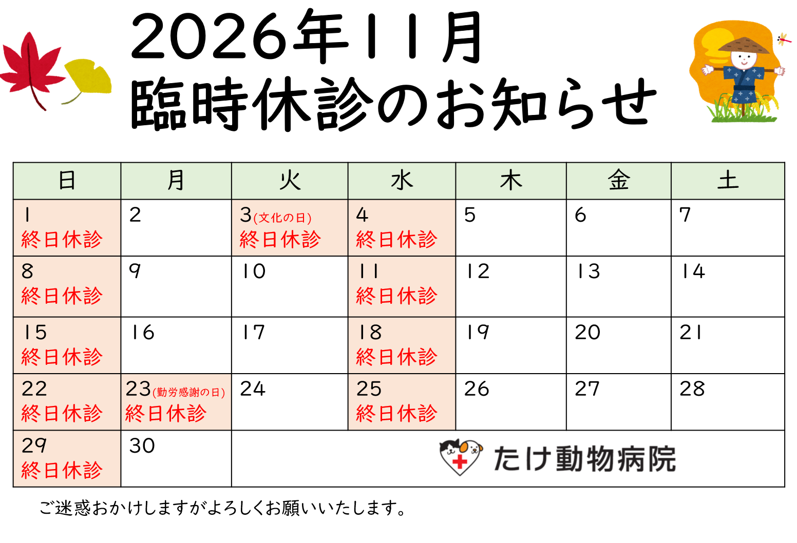 202611